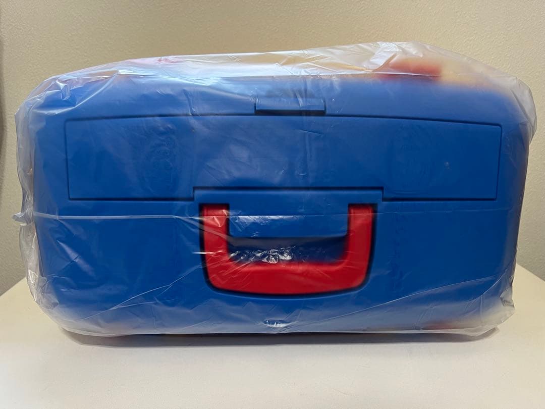 ⭐︎2006年当時モノ❗️⭐︎ポケモンセンターオンライン公式ピクニックセット