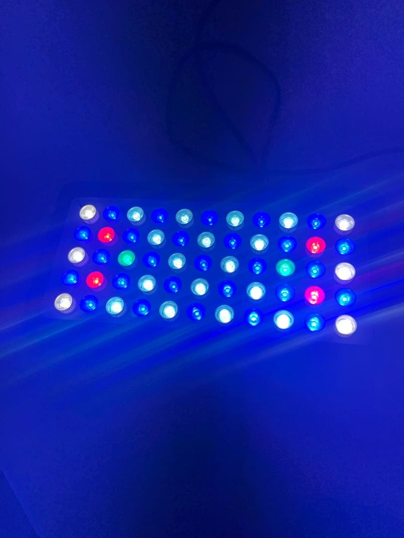 ブラックボックス　LEDです。