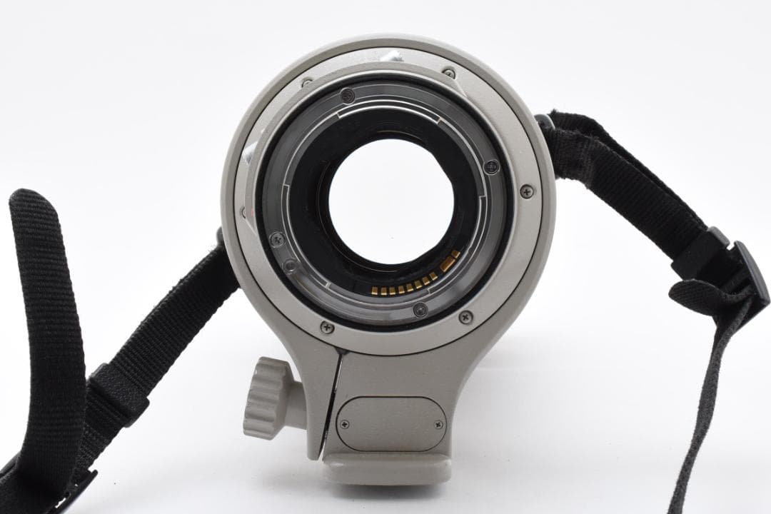 CANON EF 300mm F2.8 L IS USMレンズ #2384
