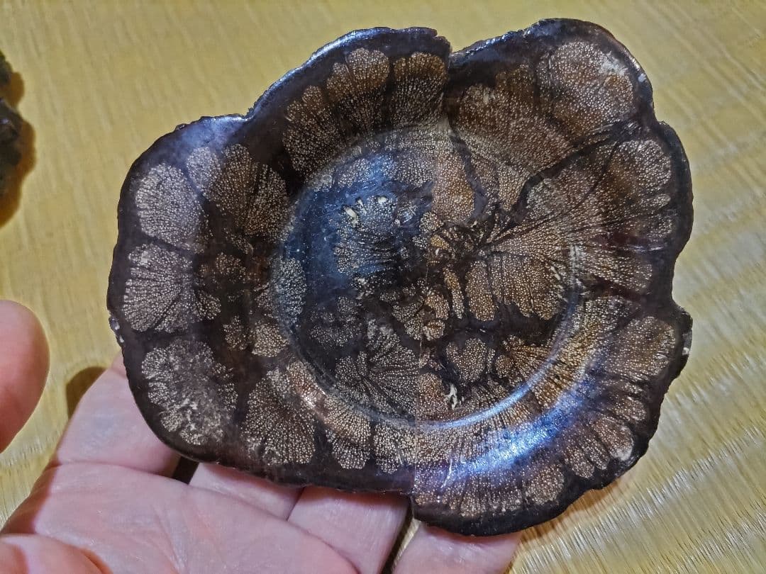 ホソマ様　茶托 菊花木５枚　他２点のお纏め価格