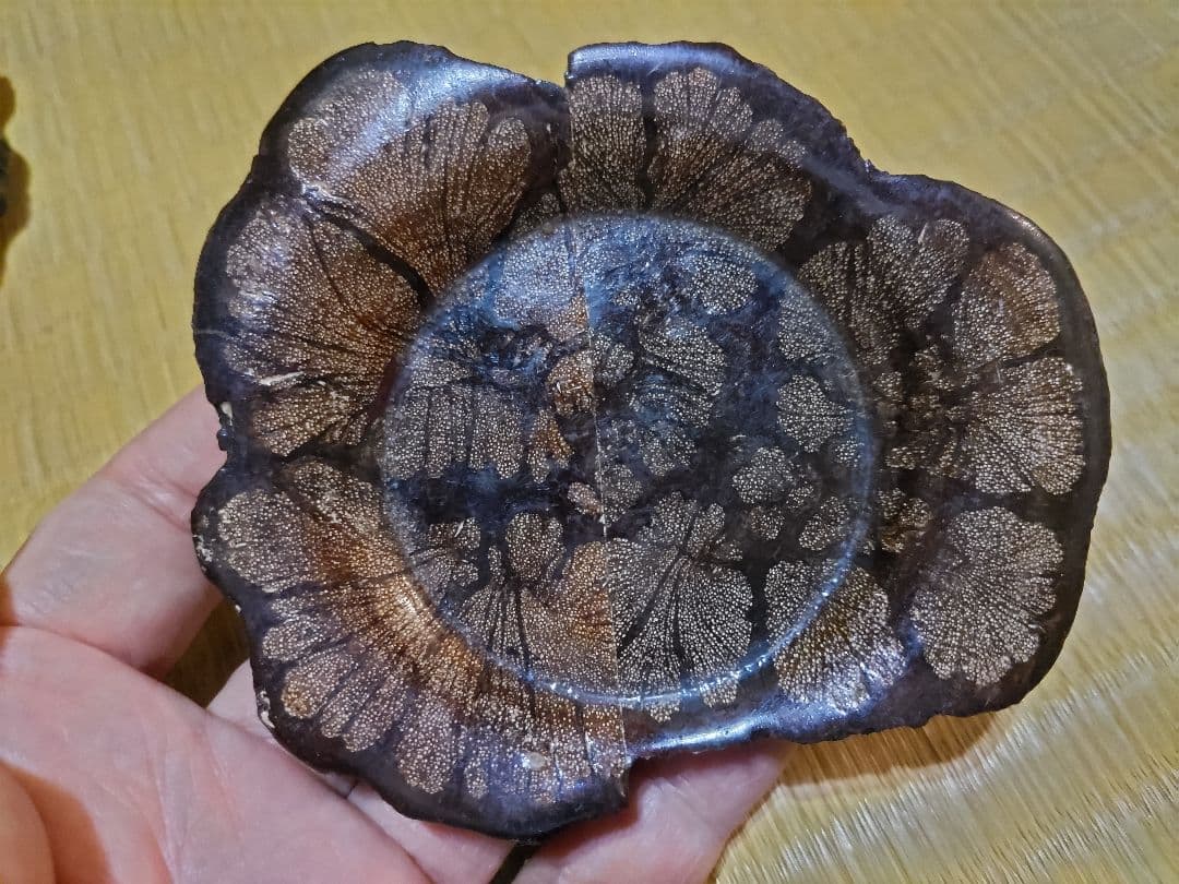 ホソマ様　茶托 菊花木５枚　他２点のお纏め価格