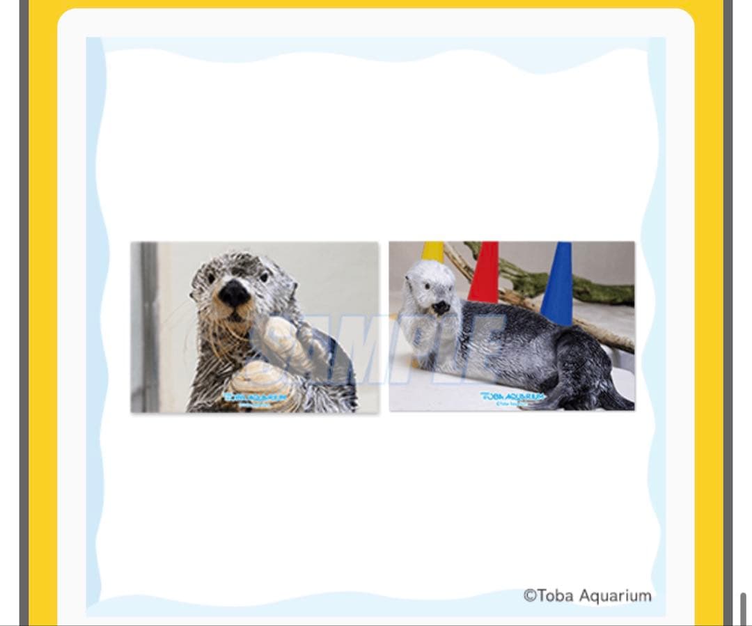 鳥羽水族館 70周年ラッコセット