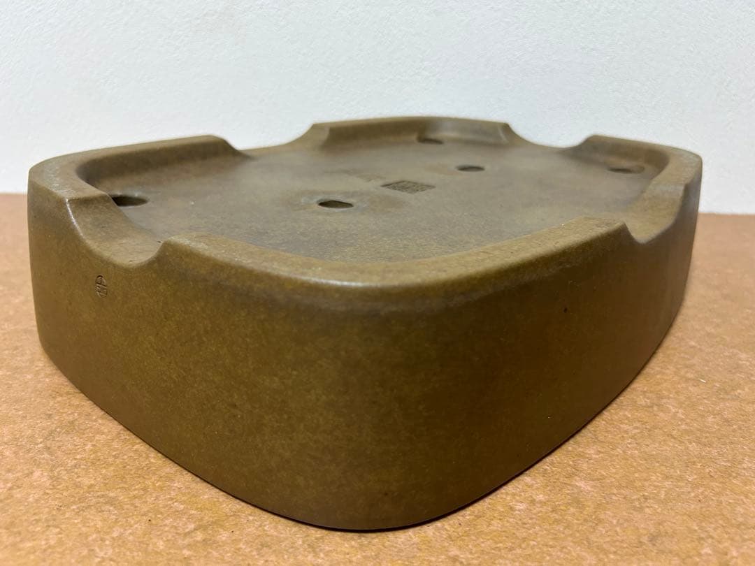 萬留平　盆栽鉢　山野草