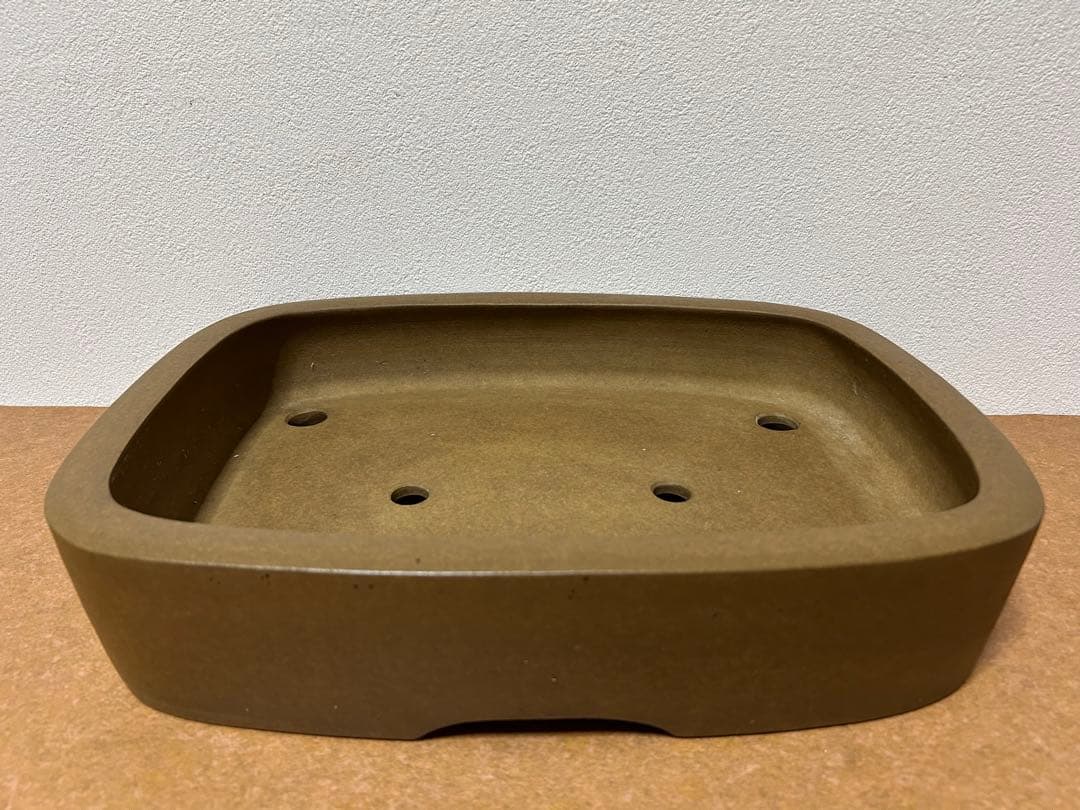 萬留平　盆栽鉢　山野草