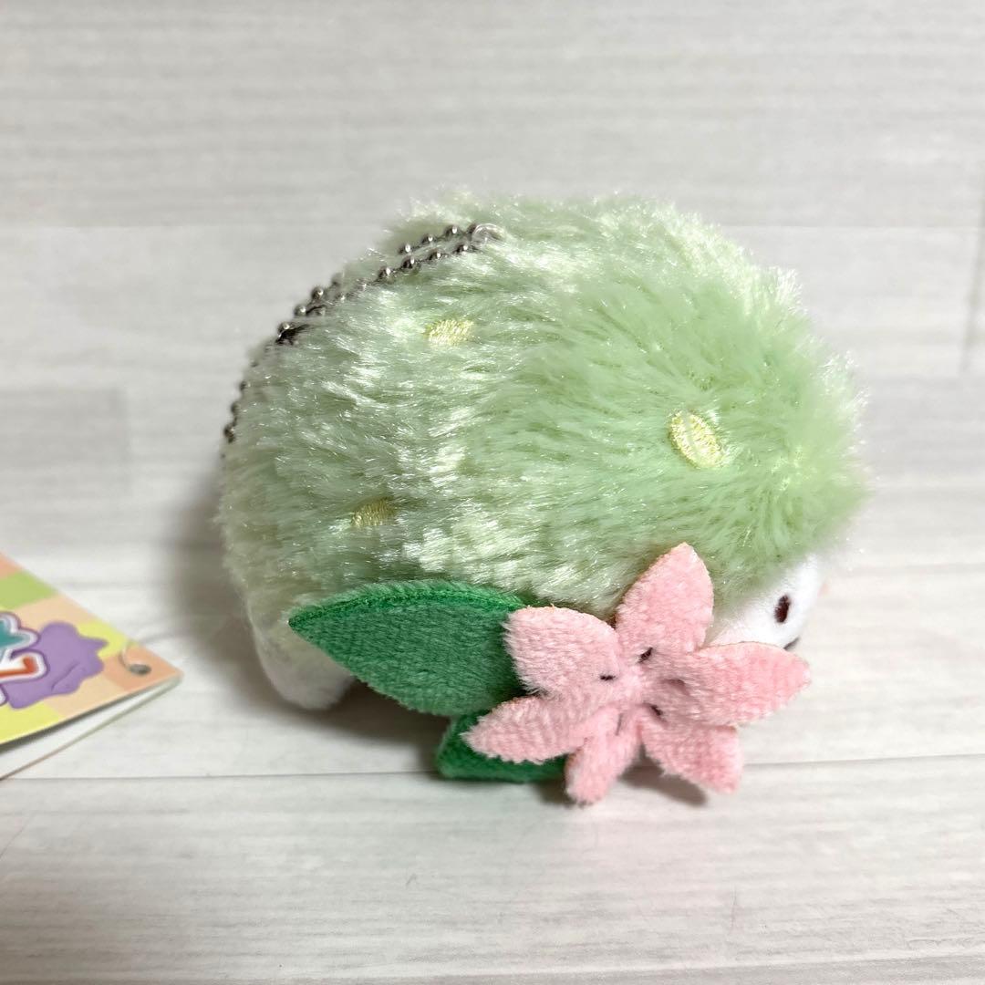 へんしんメタモン シェイミ　マスコット　ポケモンセンター