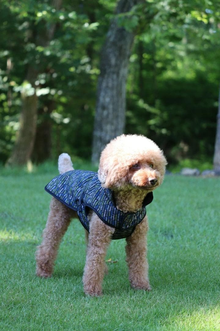 Hakusan お布団 ジャケット