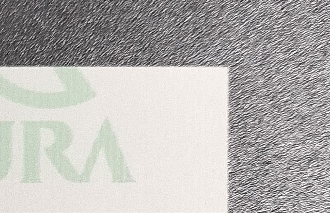 アスクビクターモア ドウデュース 弥生賞ディープインパクト記念 現地単勝馬券