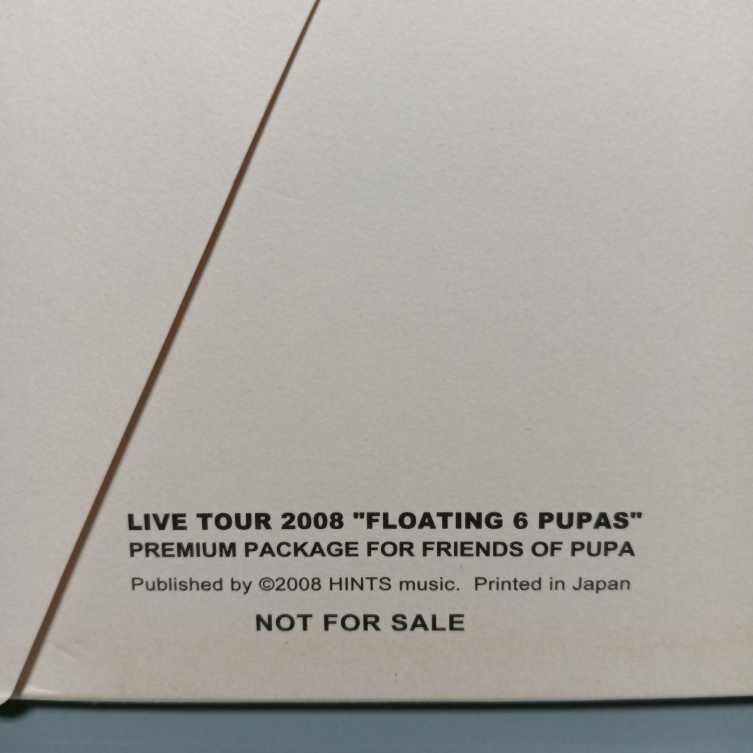 PUPA 2008 LIVE TOUR 非売品DVD 高橋幸宏 原田知世