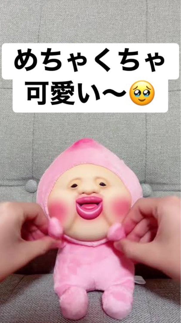 こびとづかん一番くじ37点⭐︎フルコンプ⭐︎