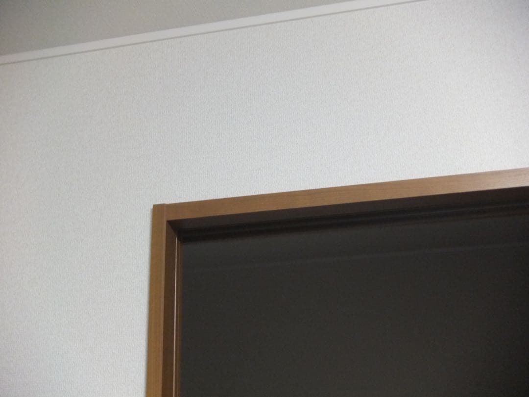 【オールドコンデジ】 FUJIFILM FinePix Z950EXR