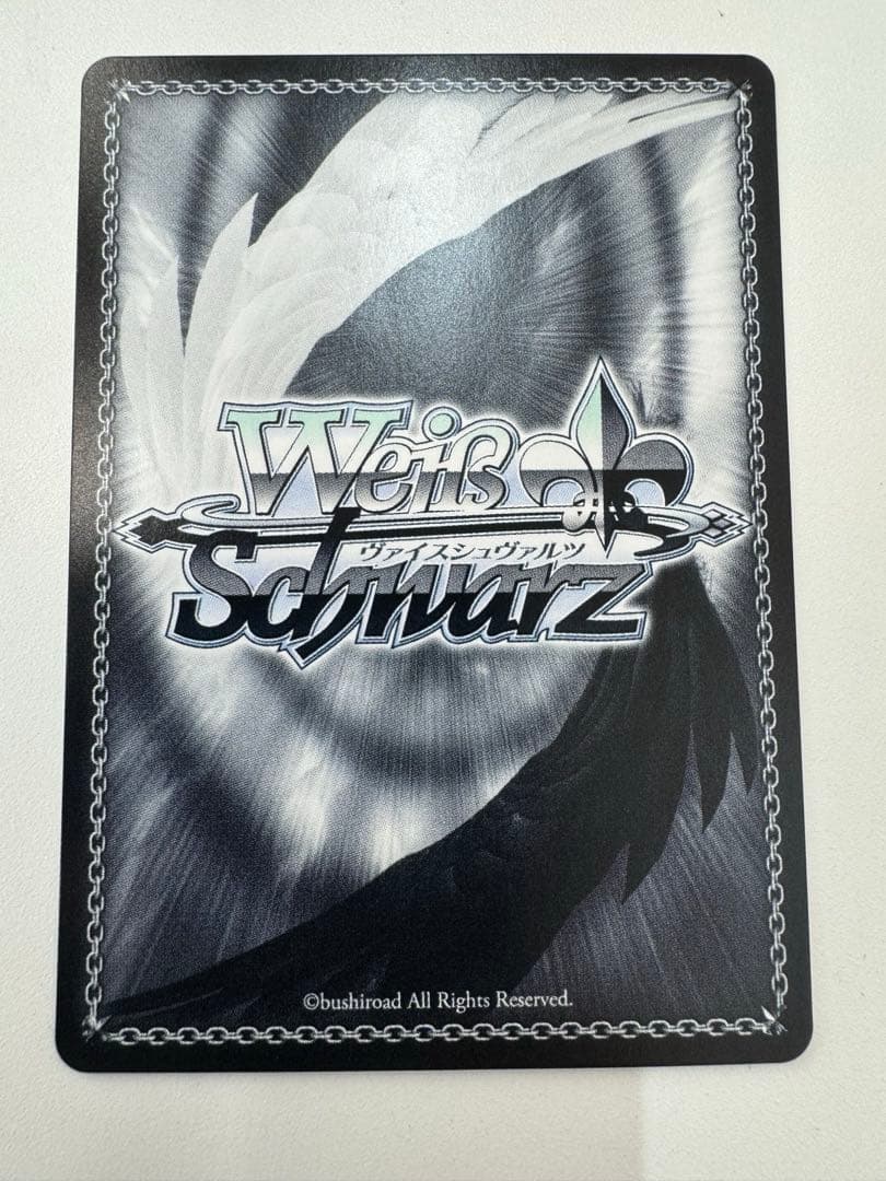 WS ヴァイス 憧れの人に追いつくために のどか PR プロモ 敢闘賞