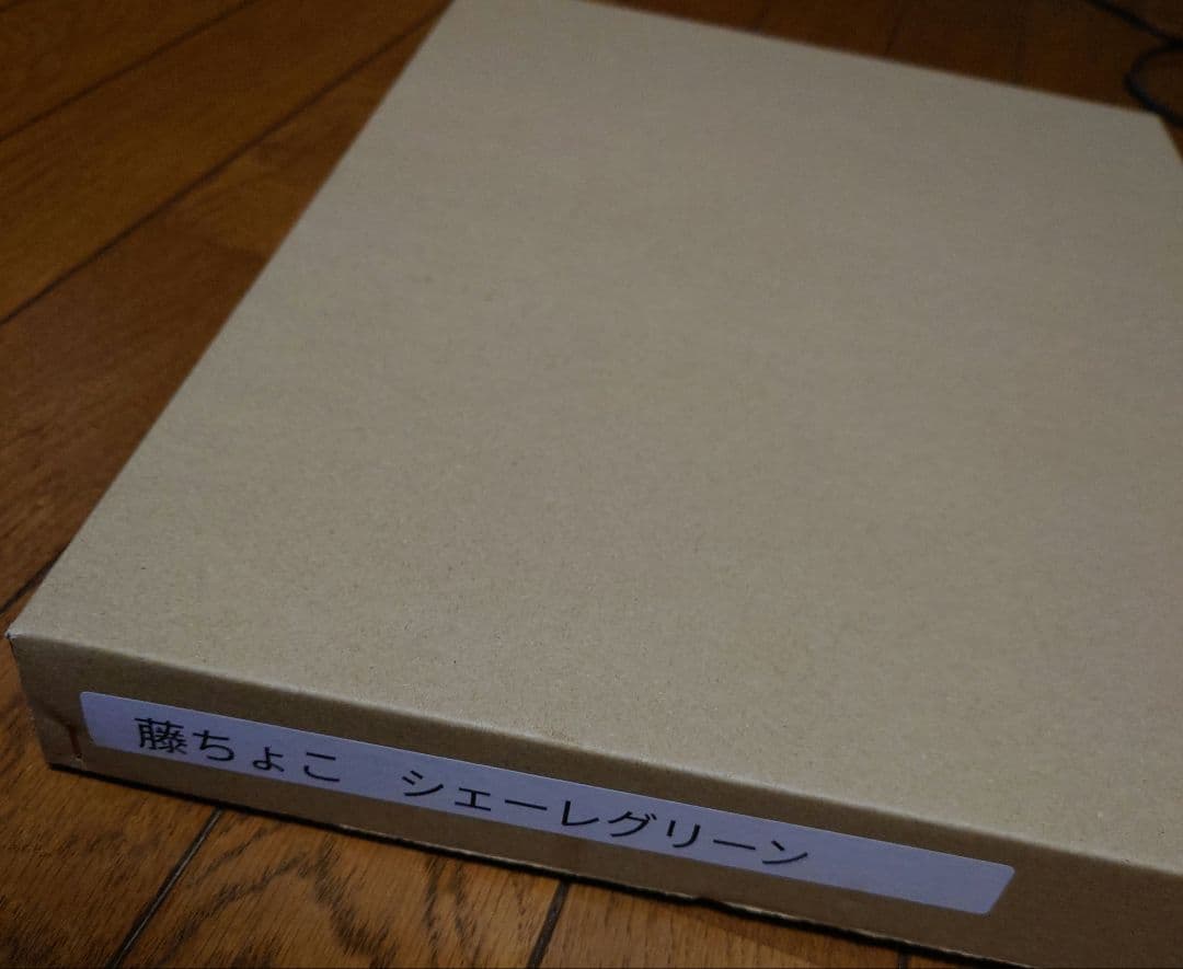 【藤ちょこ先生】シェーレグリーン