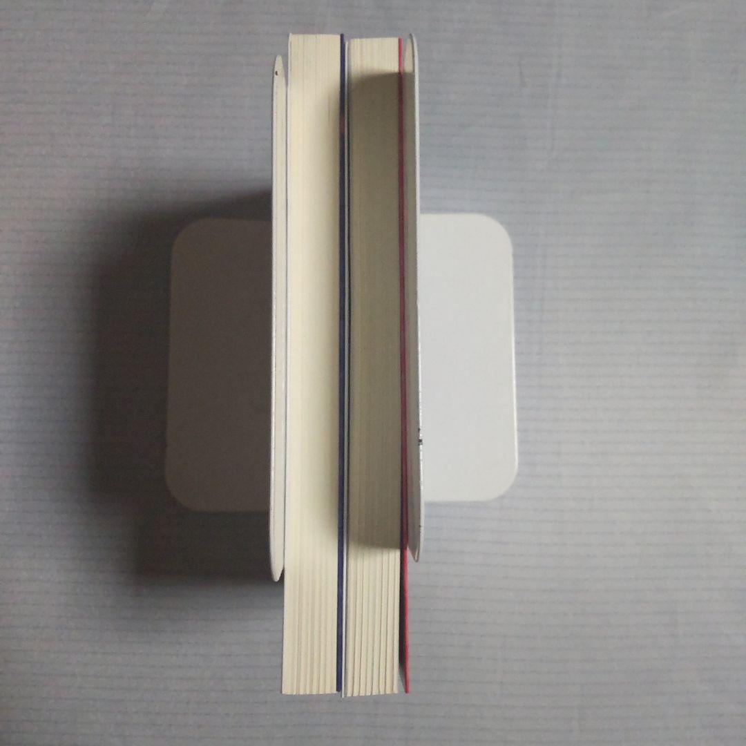 パイレーティカ 女海賊アートの冒険 上巻下巻セット タニス・リー ルルル文庫