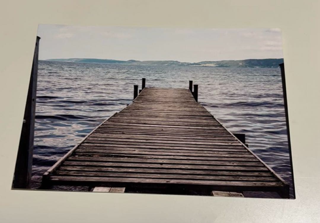 【希少】ヨルシカ 月光再演 盗作 ライブ入場特典 セット