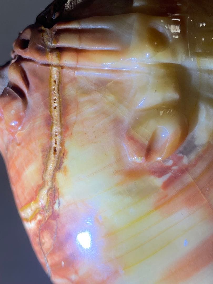 2178❣️ 瑪瑙　馬　唐馬　戦闘馬