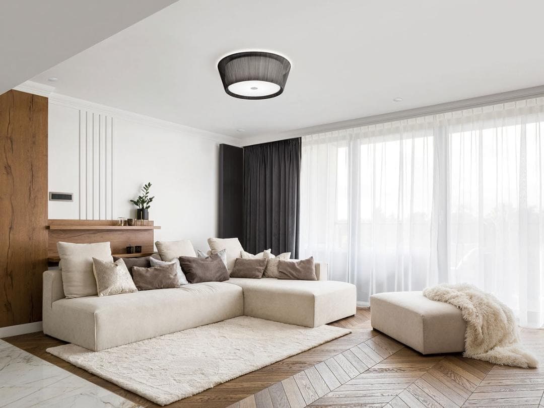 【お値下げ！訳あり】BAUMN Ⅱ／バウムⅡ／シーリングライト