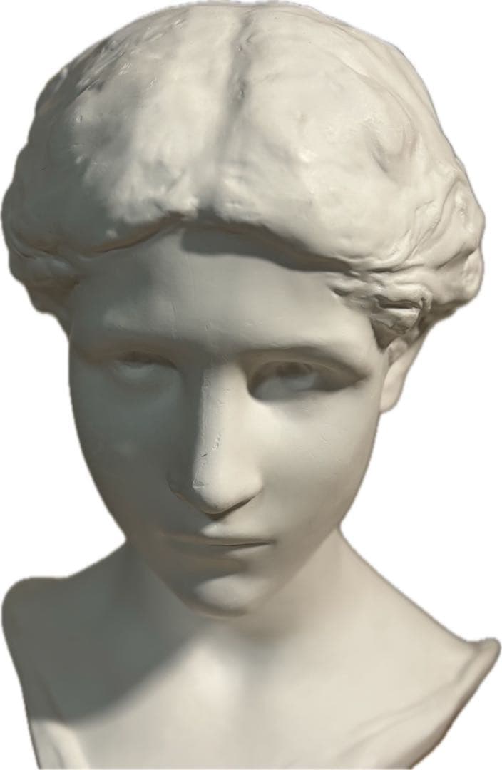 石膏製 フレンチ 胸像