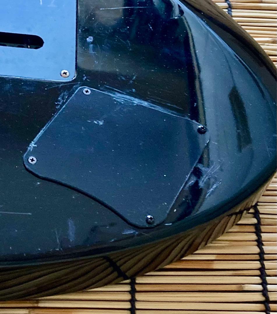 ☆大改造して新機能満載　Washburn SSH ST