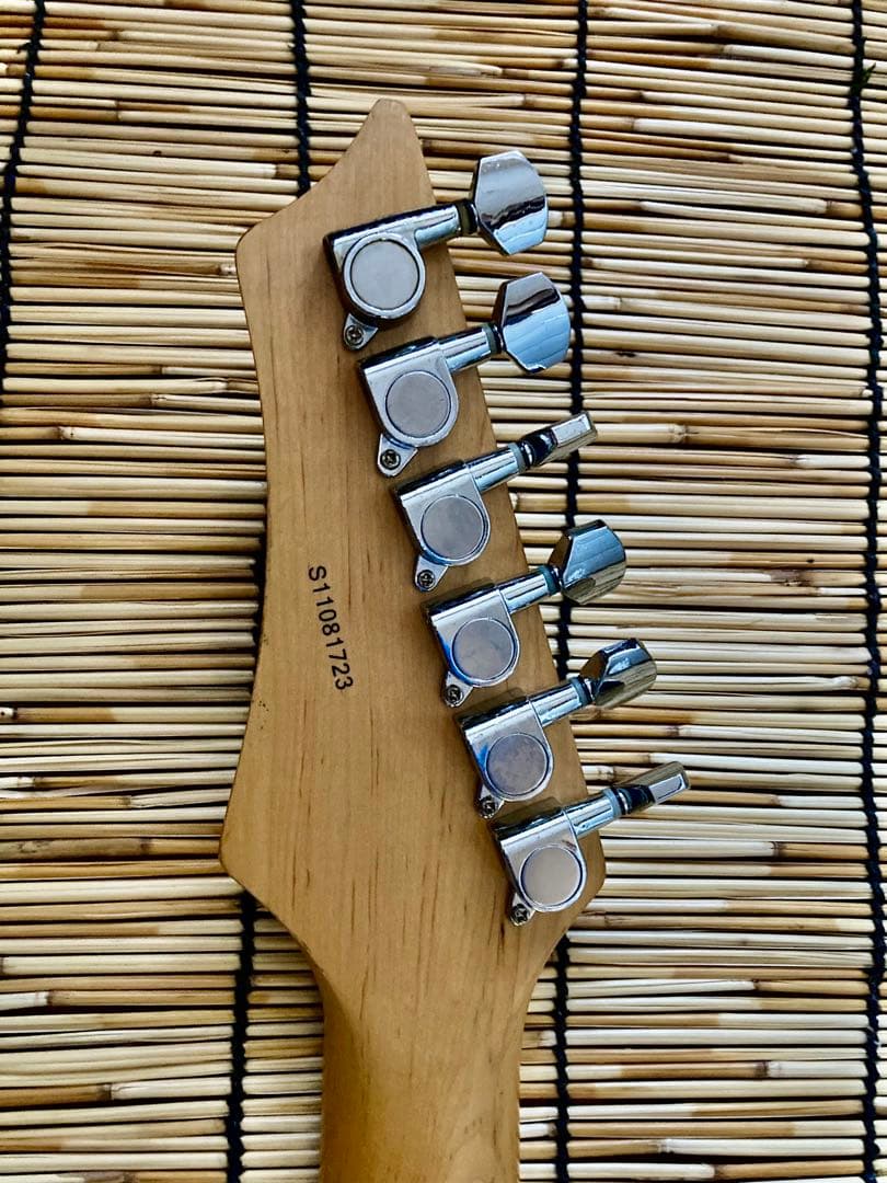 ☆大改造して新機能満載　Washburn SSH ST