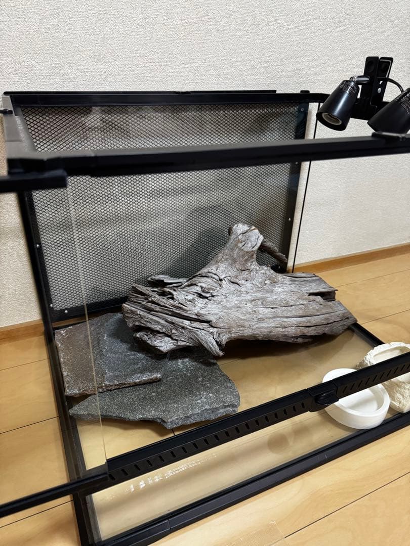 ケージ 爬虫類 トカゲ飼育セット 60 yoshimi