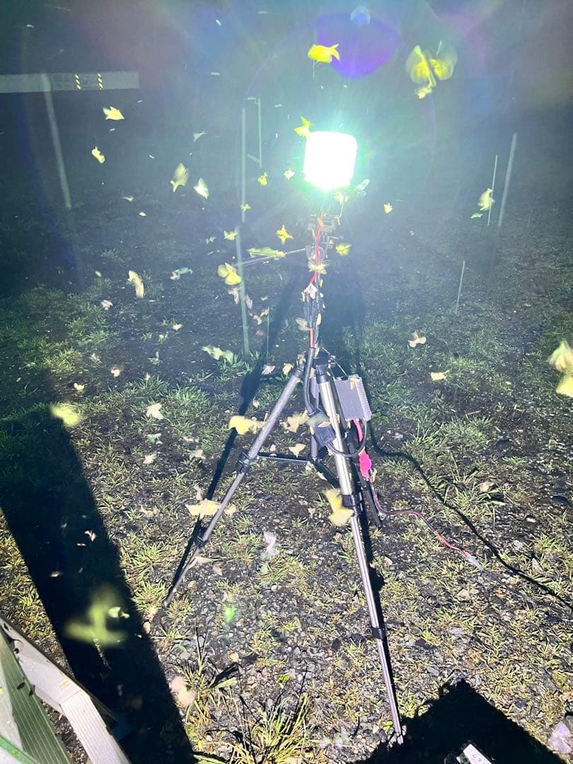 灯火採集　三脚型　ライトトラップ　HID35w 紫外線放出加工済