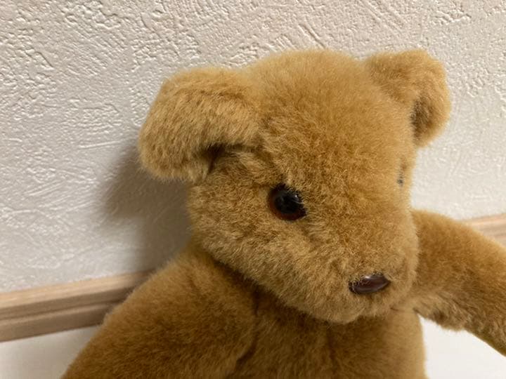 くま　ぬいぐるみ　BEAR’S CLUB Sadahito Mori ベアー