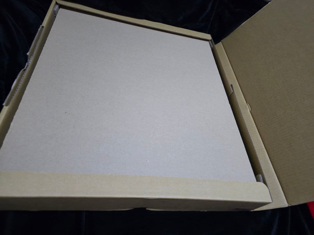 ♡激レア♡ ラプンツェル Disney 高精細複製原画　023/500