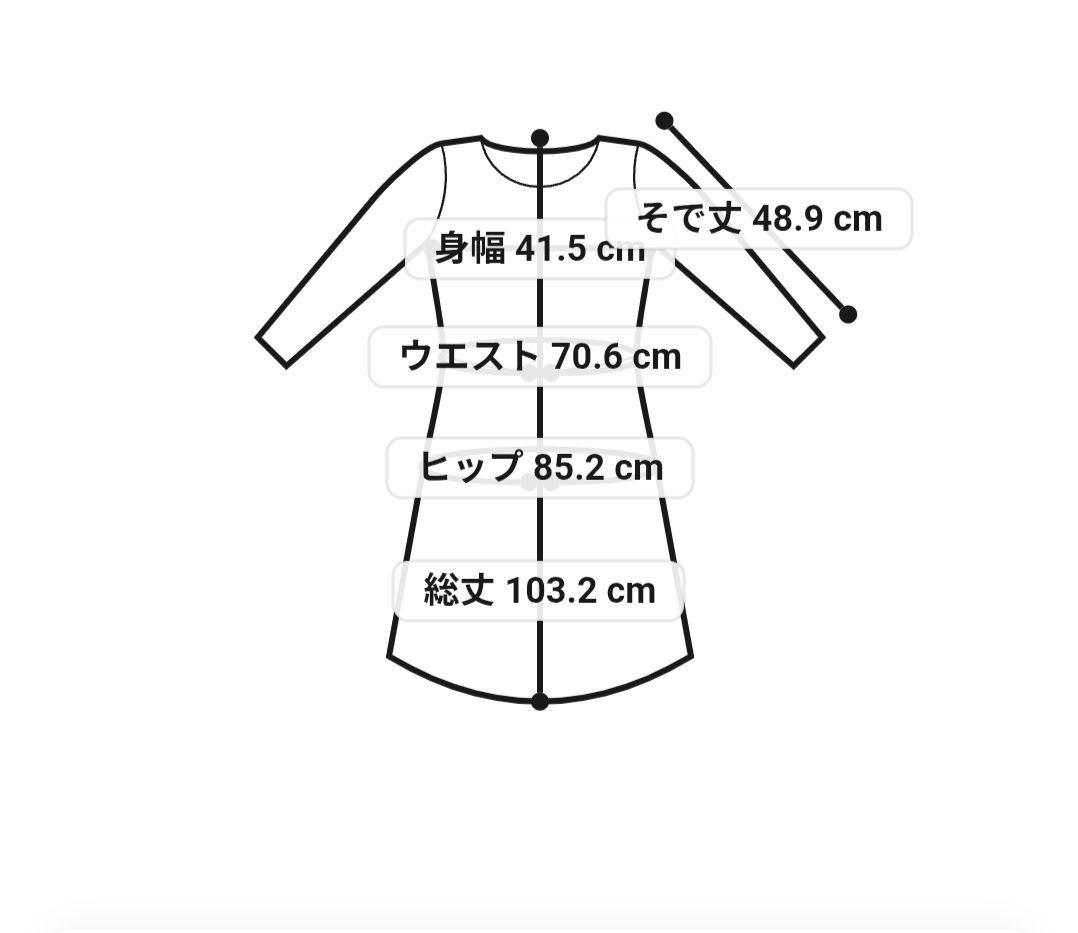 新品【洗える】クリスタルアムンゼン ウエスト切り替え ワンピース