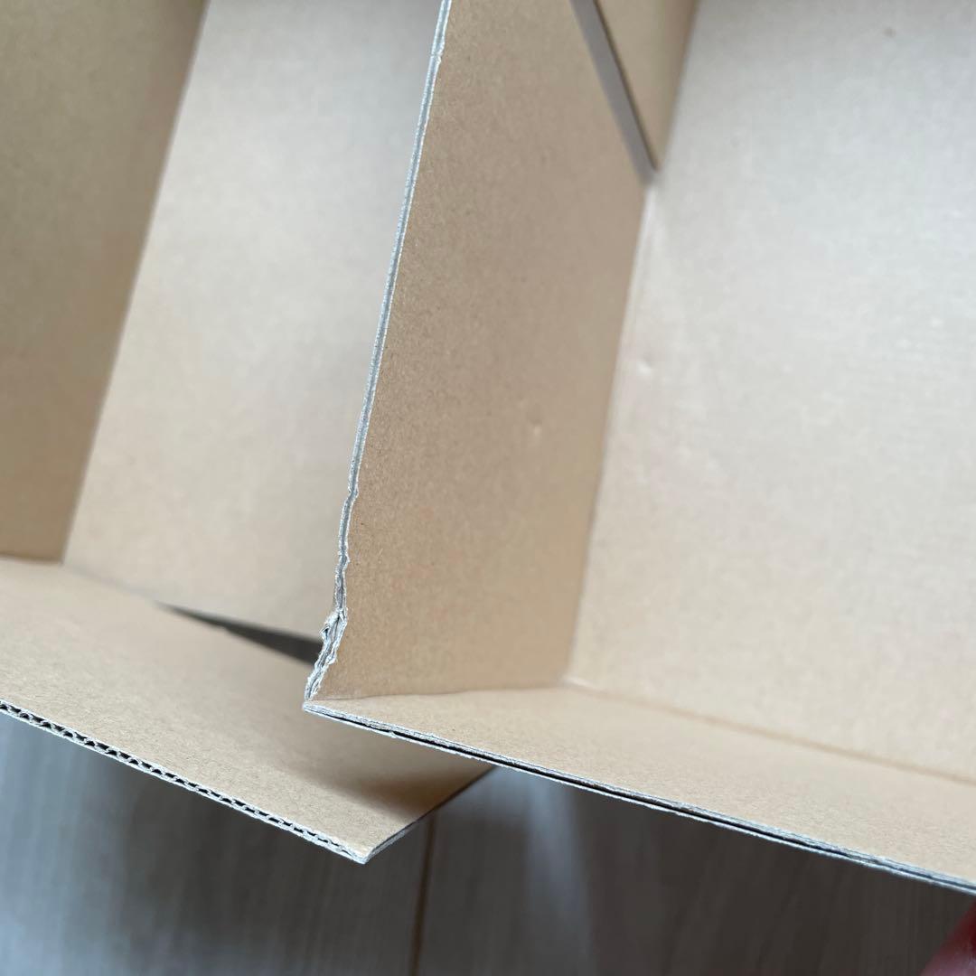 ビリケン商会 謹製 リアルモデルキットシリーズ/逆襲版ゴジラ(ゴジラの逆襲)