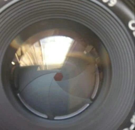 【grasshopper】Olympus OM-1