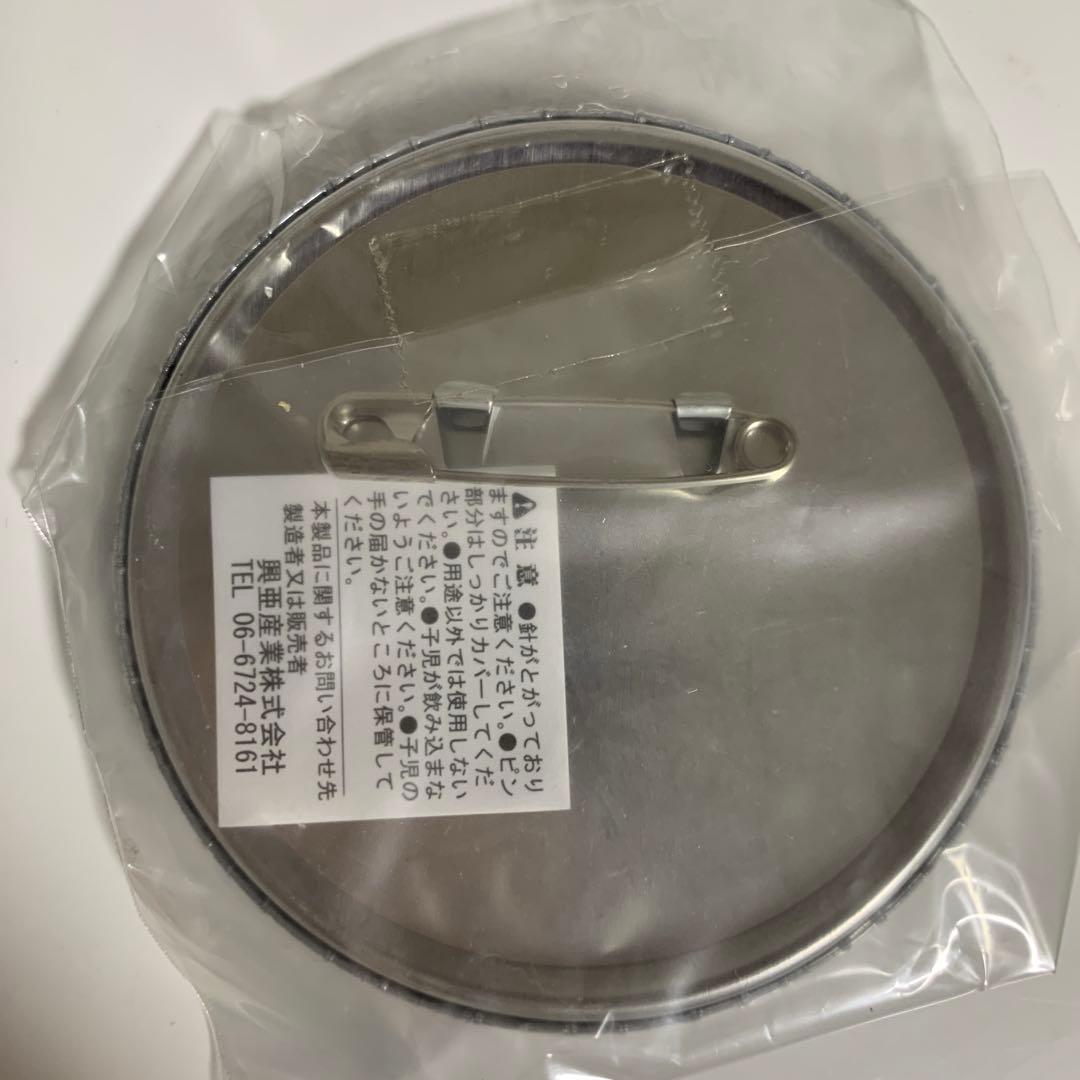 缶バッジ　セット　ナムコ・ナンジャタウン　マクロスf