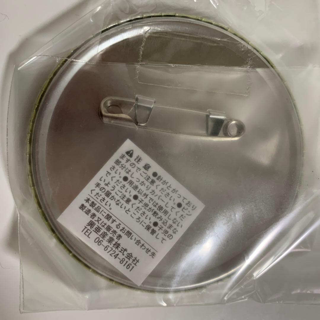 缶バッジ　セット　ナムコ・ナンジャタウン　マクロスf