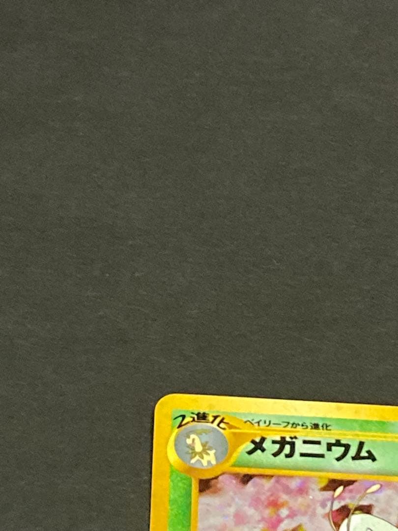 《最終値下げ》《美品》旧裏 プロモセット バクフーン　オーダイル　メガニウム