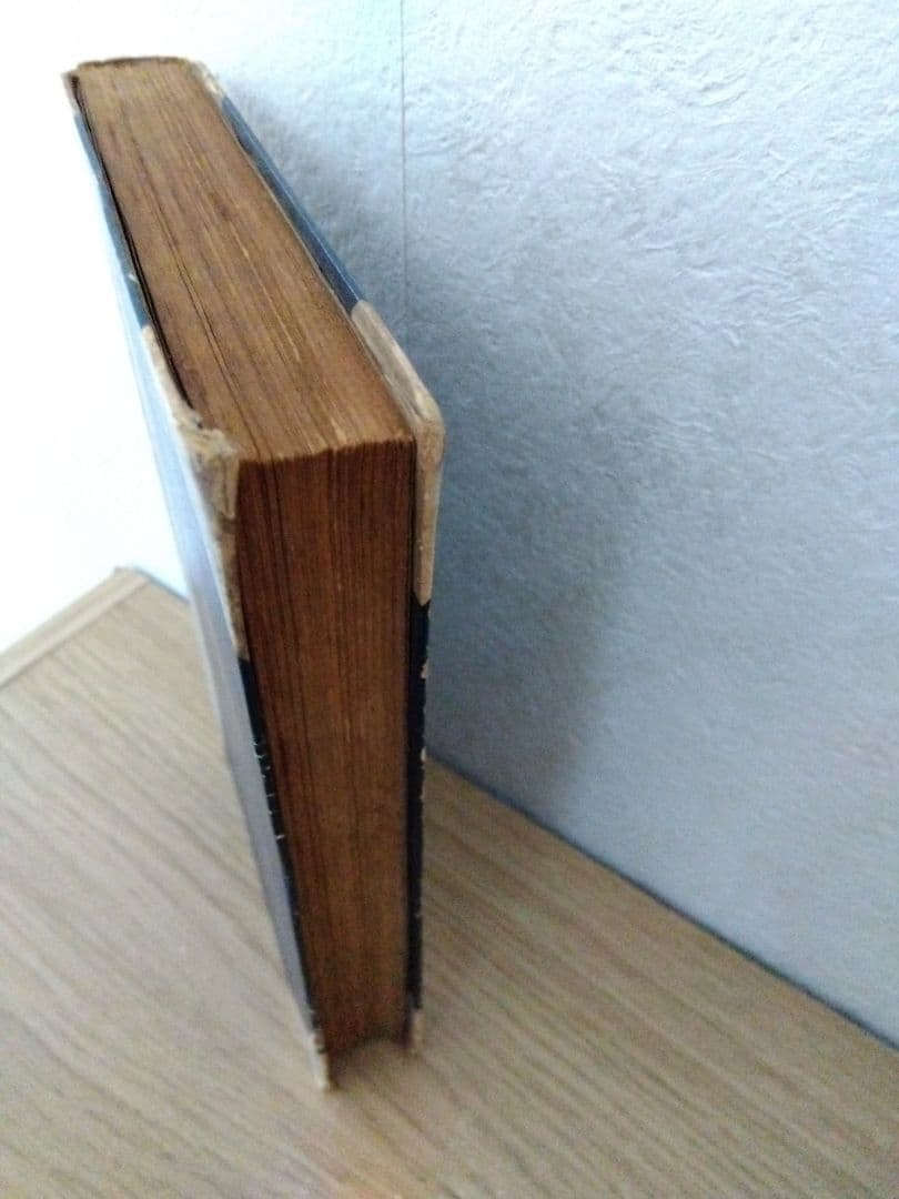 孤児ネルリ　ドストエフスキー