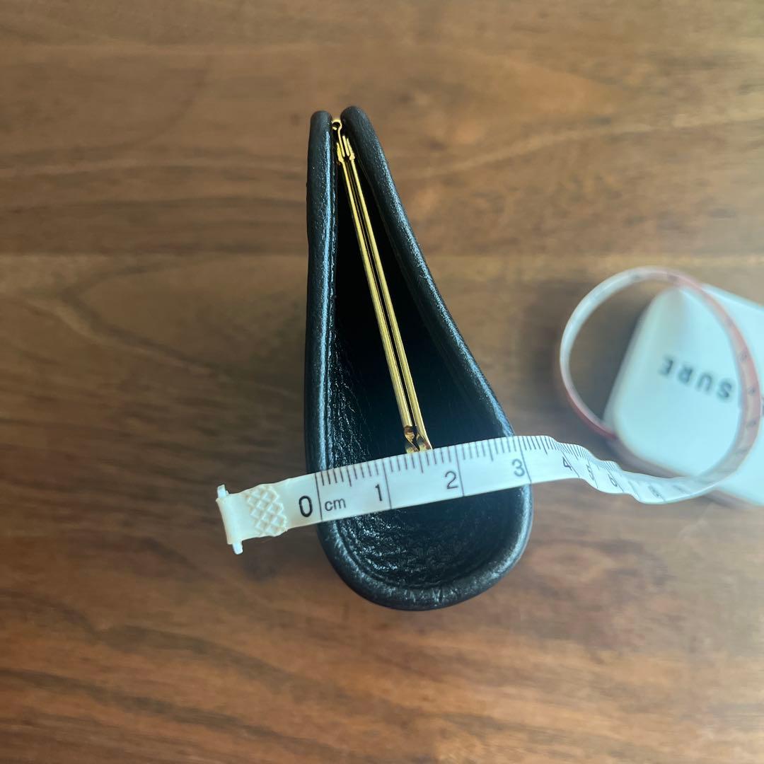 Christian Diorケースがま口ブラック