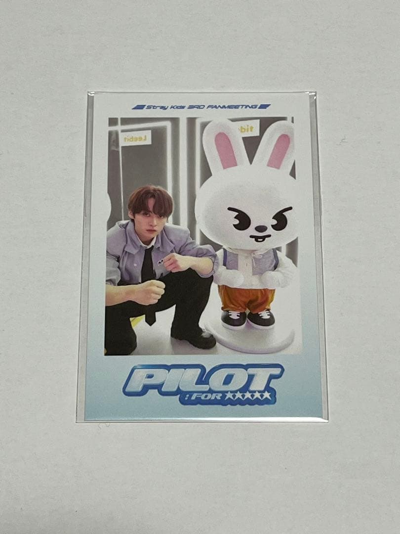 Stray Kids スキズ ペンミ pilot リノ　ぬいぐるみ