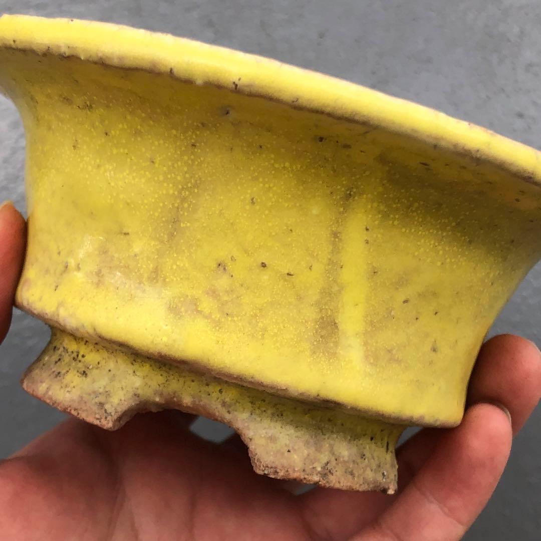 446.春嘉 黄釉丸鉢 盆栽鉢 植木鉢 13.5*6cm
