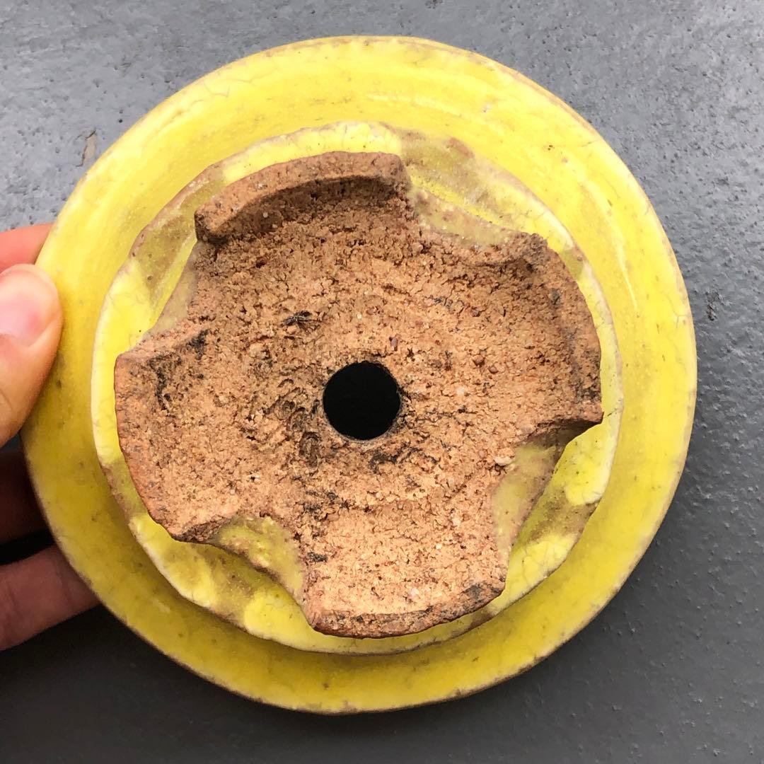 446.春嘉 黄釉丸鉢 盆栽鉢 植木鉢 13.5*6cm