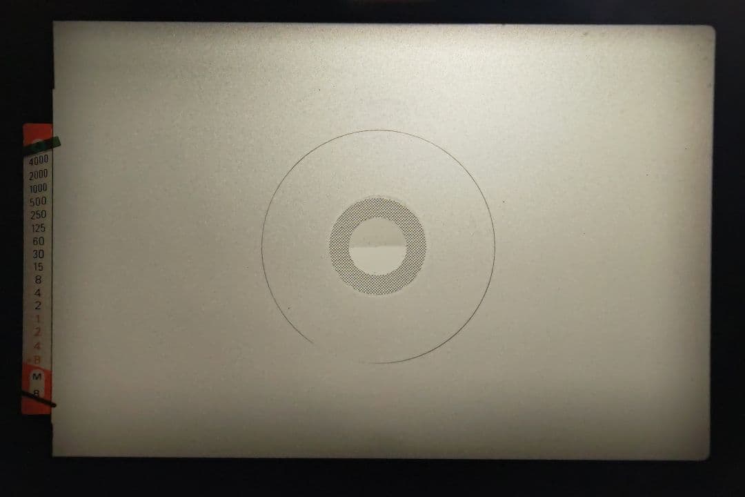 最終値下げ Nikon FE2 良品 モルト交換済み