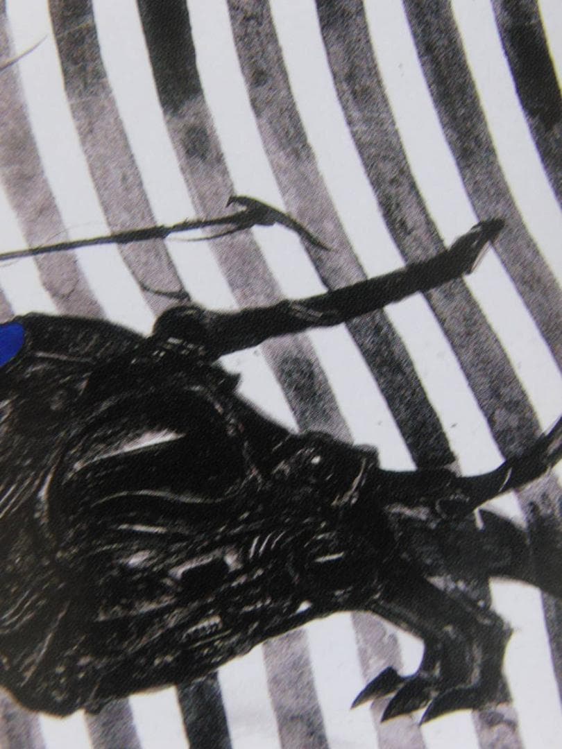 天野喜孝、【Time Travel】、希少な額装用画集より、厳選、新品額装