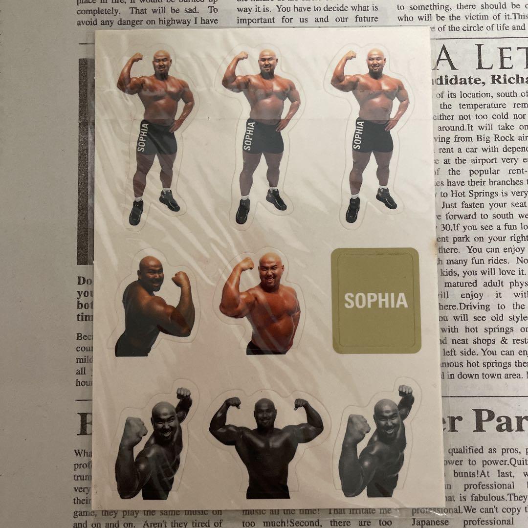 SOPHIA グッズまとめ売り