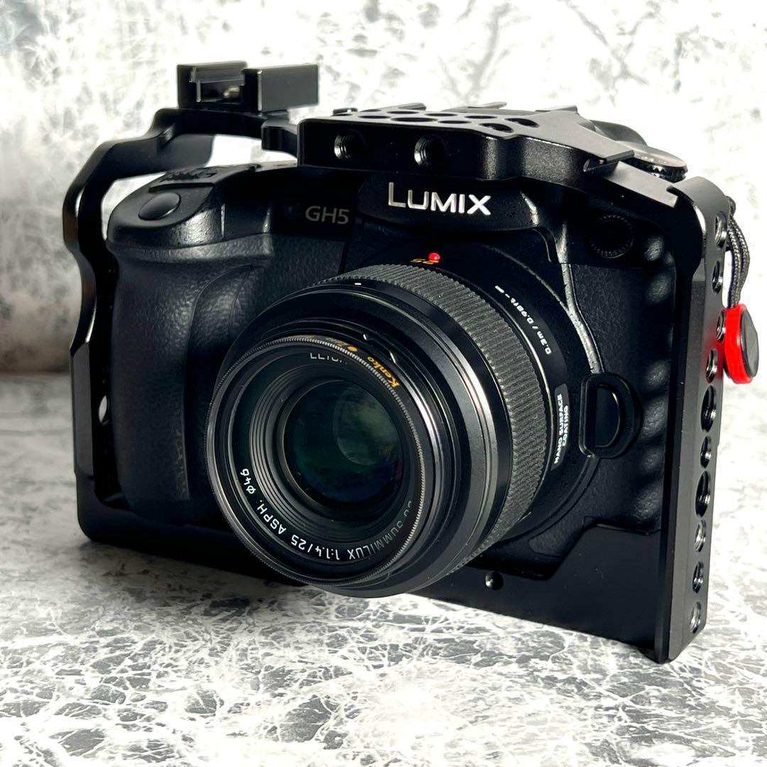 [フード・フィルター付] Panasonic LEICA 25mm F1.4