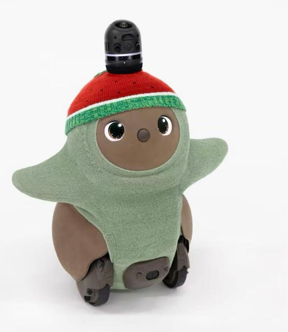 LOVOT すいかニットキャップ　熊本限定