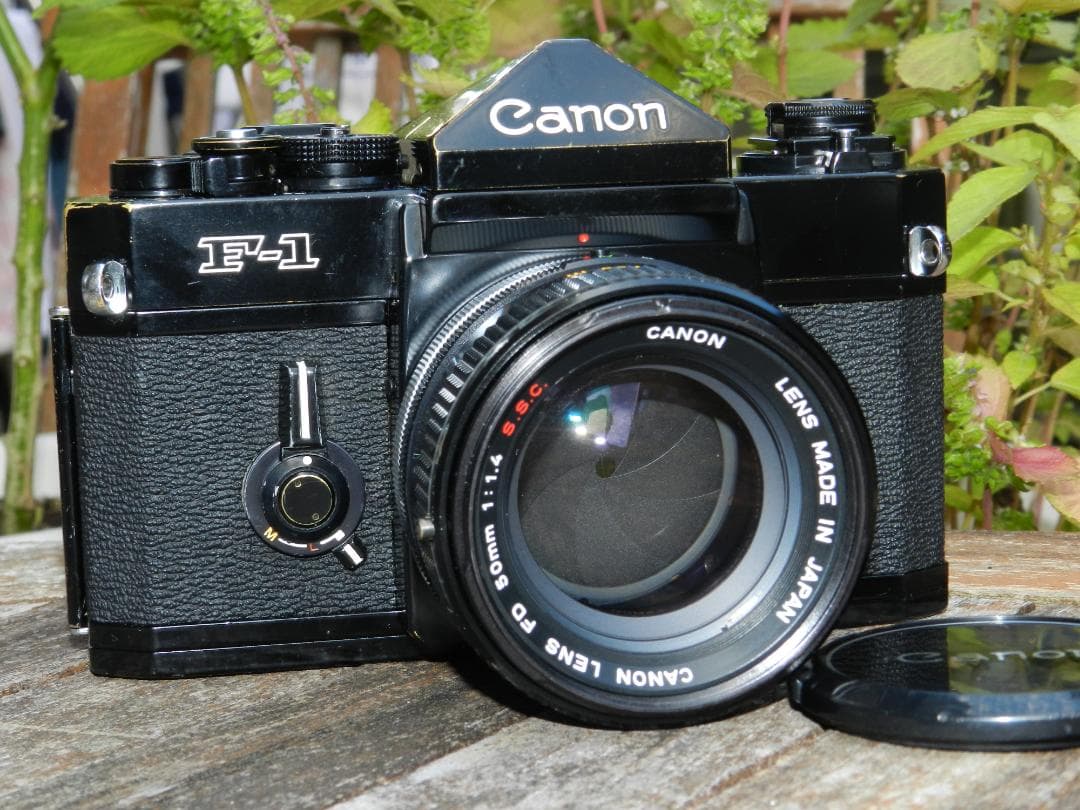 美品　Canon F-1+50mm 1.4 ssc S.S.C 即撮影可