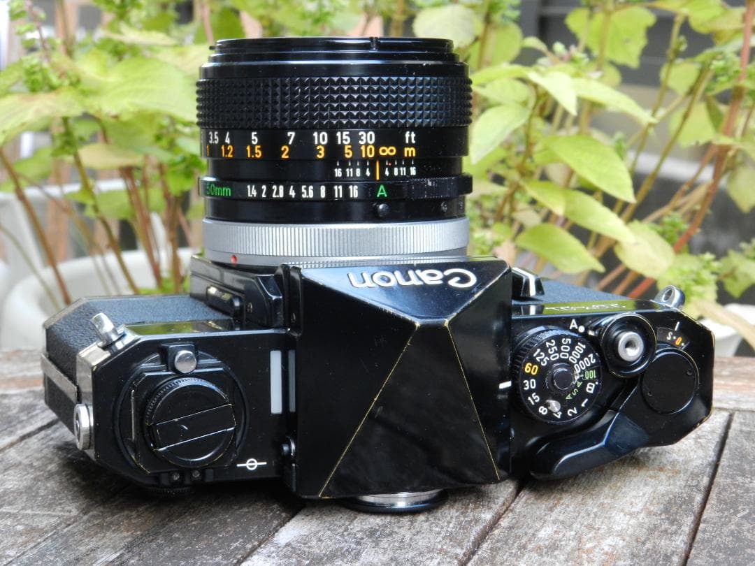 美品　Canon F-1+50mm 1.4 ssc S.S.C 即撮影可