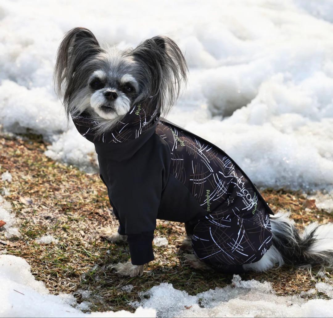 ALPHAICON アルファアイコン　DOG GUARD AIR S