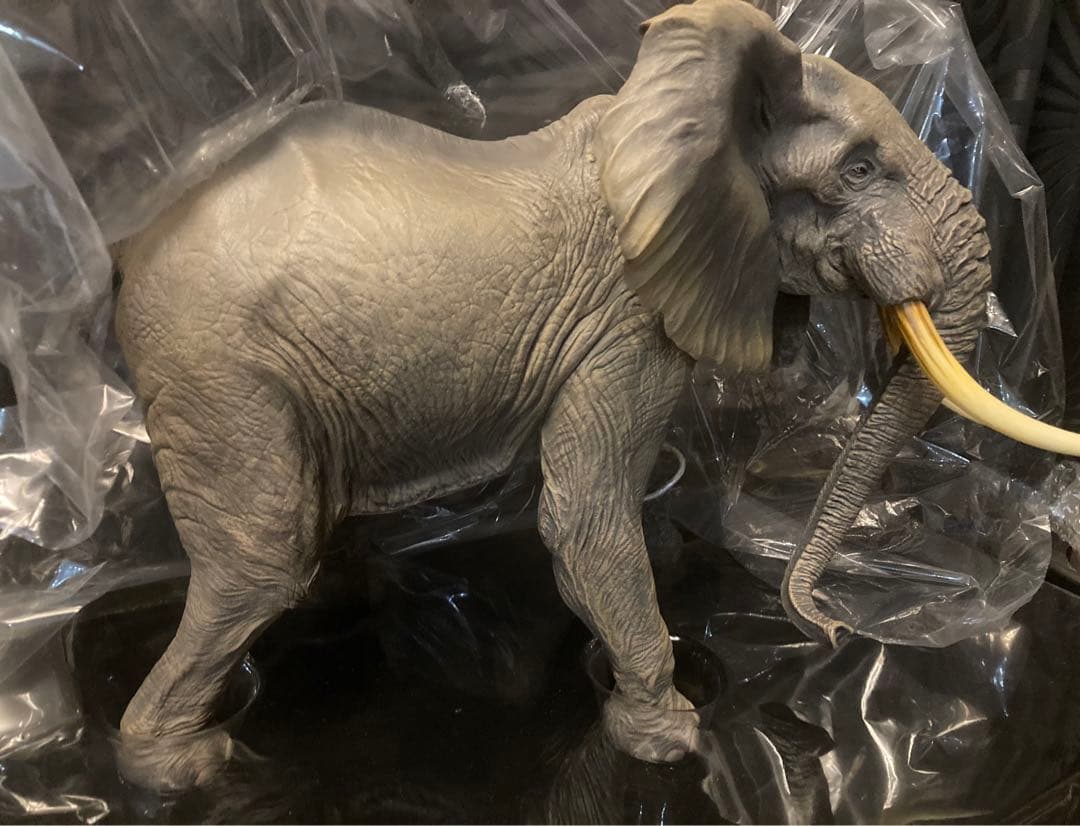 【初期カラー】アフリカゾウ ビッグフィギュア ◆ メガソフビアドバンス