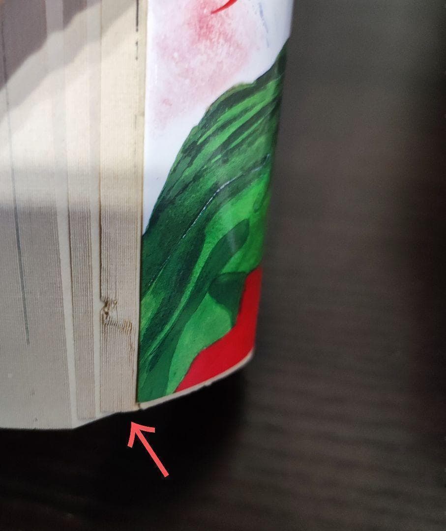 小野不由美　ゴーストハント/悪霊シリーズ8冊＆悪夢の棲む家2冊　10冊セット