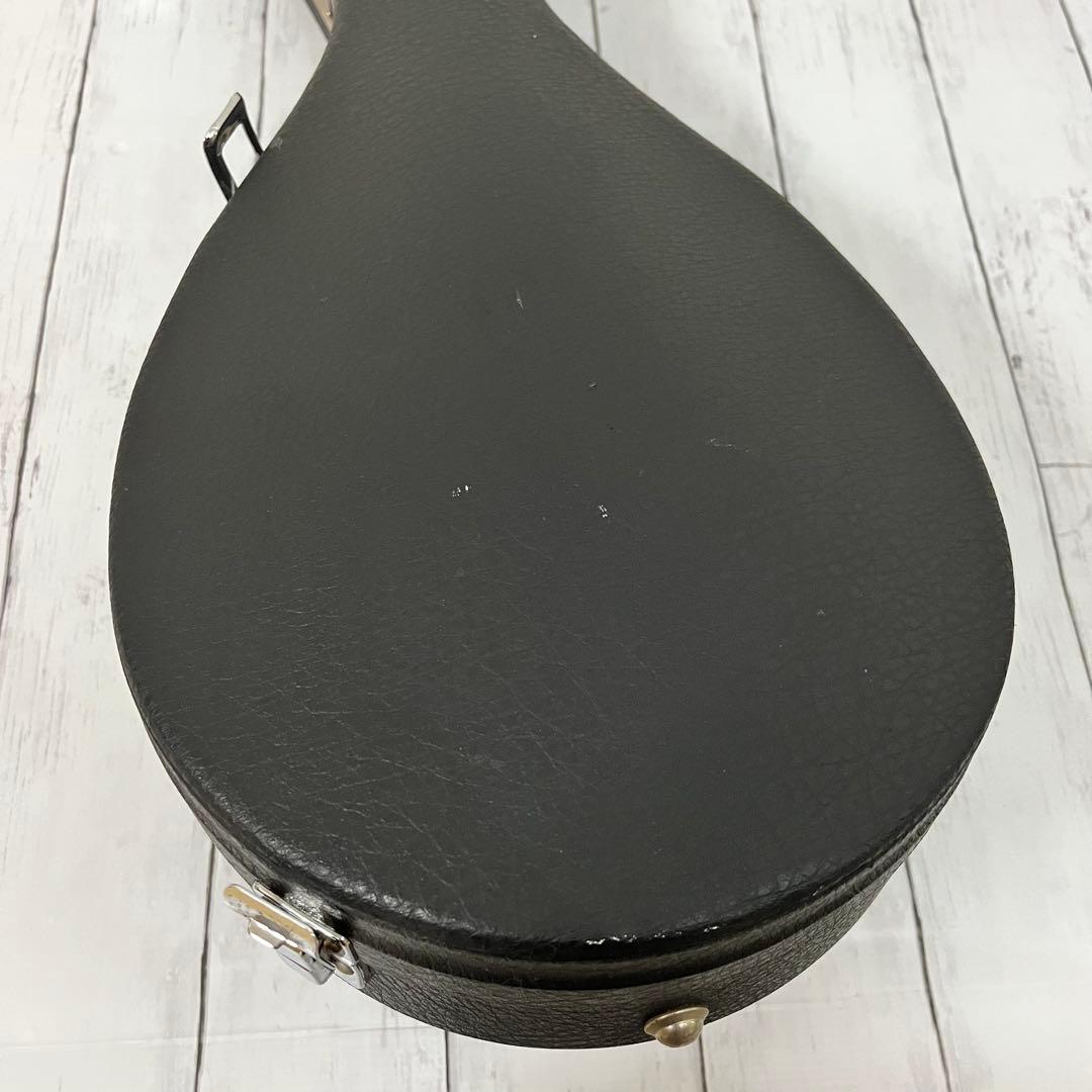 SUZUKI M-30 マンドリン 本体 ハードケース 弦 ピック付き！