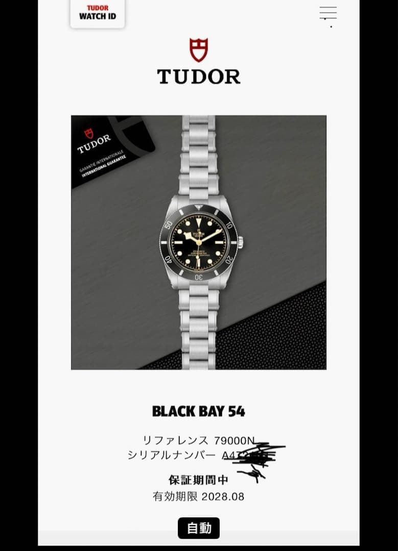 TUDOR Black Bay ブラックベイ54